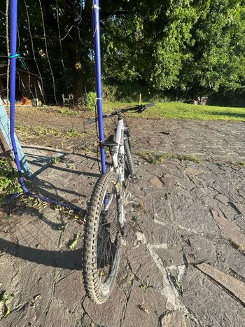 Used Superior XF 919 TR 2024 2024 Mountainbike, White, 29 — image 11 of 12