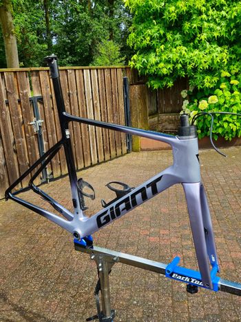 Used Giant Propel Advanced SL Frameset 2025 Frameset 2025 Racefiets & gravel