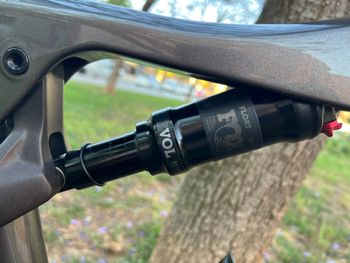 Used Orbea OIZ M30 2022 2022 Mountainbike, Black, 29 — image 7 of 11