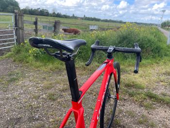 Used Wilier CENTO10 SL SHIMANO ULTEGRA DI2 R8070 2021 2021 Road & Gravel — image 3 of 7
