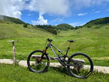 Used Orbea OCCAM M10 LT 2023 2023 Mountainbike, Black, 29 — image 3 of 3