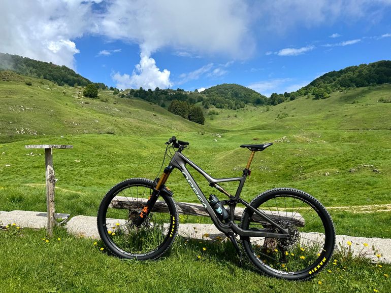 Used Orbea OCCAM M10 LT 2023 2023 Mountainbike, Black, 29 — image 3 of 3