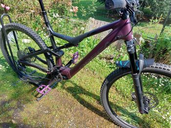 Used Orbea RISE H30 20mph 2024 2024 Mountainbike, Black, 29 — image 4 of 5