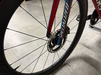 Used Specialized S-Works Tarmac SL8 FDJ - SUEZ Team Edition 2025 2025 Road & Gravel, Blue — image 7 of 9