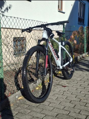Used Orbea ALMA H30 2021 2021 Mountainbike, White, 29 — image 2 of 6