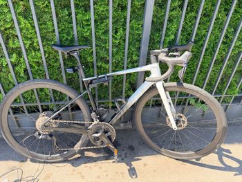 Used Giant Defy Advanced Pro 1 2024 2024 Road & Gravel, Bianco — image 3 of 16