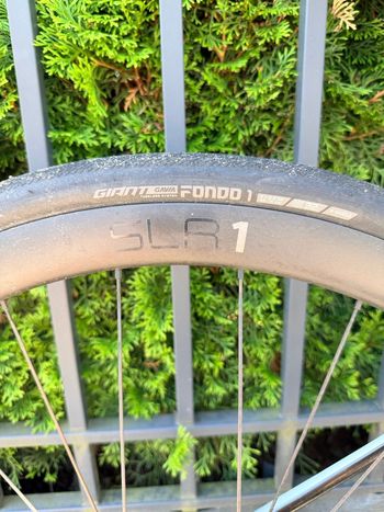 Used Giant Defy Advanced Pro 1 2024 2024 Road & Gravel, Bianco — image 8 of 16