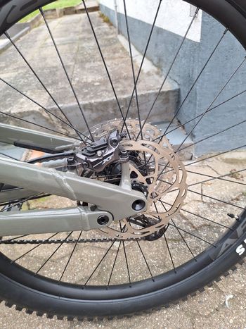 Used Canyon Spectral 5 2025 2025 Mountainbike, Grün, 29, 27.5 — image 3 of 8