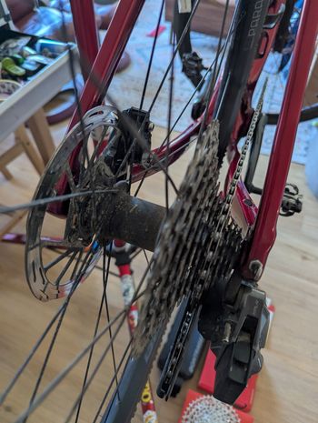 Used Trek Checkpoint SL 6 AXS 2023 2023 Road & Gravel, Red — image 9 of 10