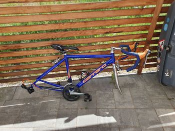 Used Carraro Carraro Custom Frameset 2005 Route & Gravel
