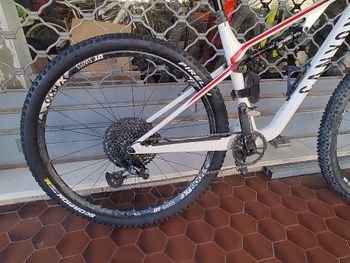 Used Canyon Lux CF 6 2021 2021 Mountainbike, White — image 2 of 3