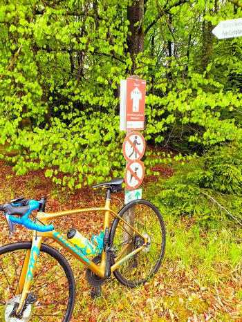 Used Cucuma Cucuma Custom Shimano Ultegra Di2 2021 Road & Gravel, Orange — image 3 of 5
