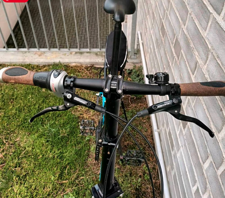 Used Riese & Müller Birdy Shimano Nexus Hub Gear 2020 Urban, Blau — image 11 of 11
