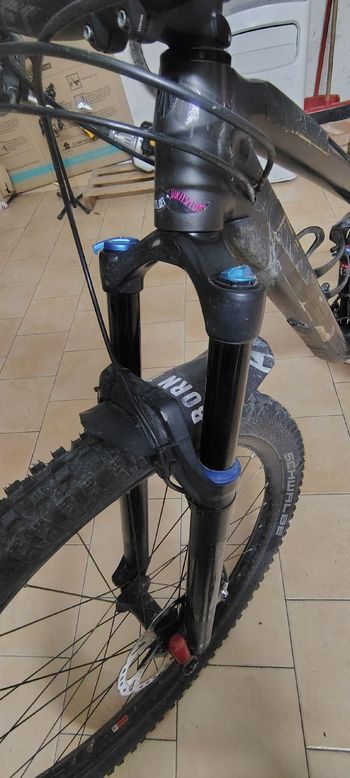 Used Trek Fuel EX 8 29 2019 2019 Mountainbike, Black, 29 — image 13 of 15