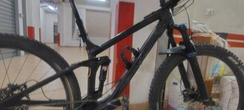 Used Trek Fuel EX 8 29 2019 2019 Mountainbike, Black, 29 — image 5 of 8