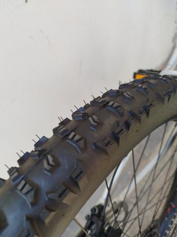 Used Lee Cougan Quest Race 2023 2023 Mountainbike — image 3 of 10