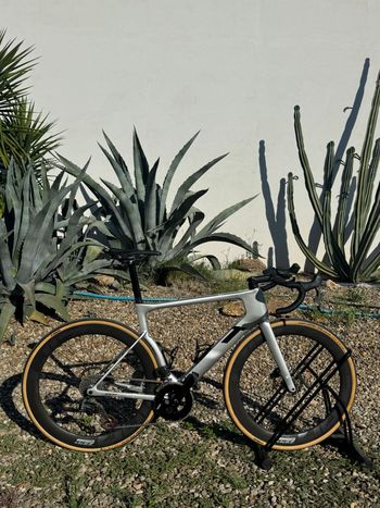 Used 3T STRADA RIVAL AXS 2X12 700c Carbon wheels 2024 2024 Road & Gravel