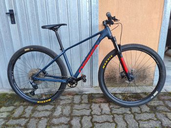 Used Orbea ALMA H30 2022 2022 MTB
