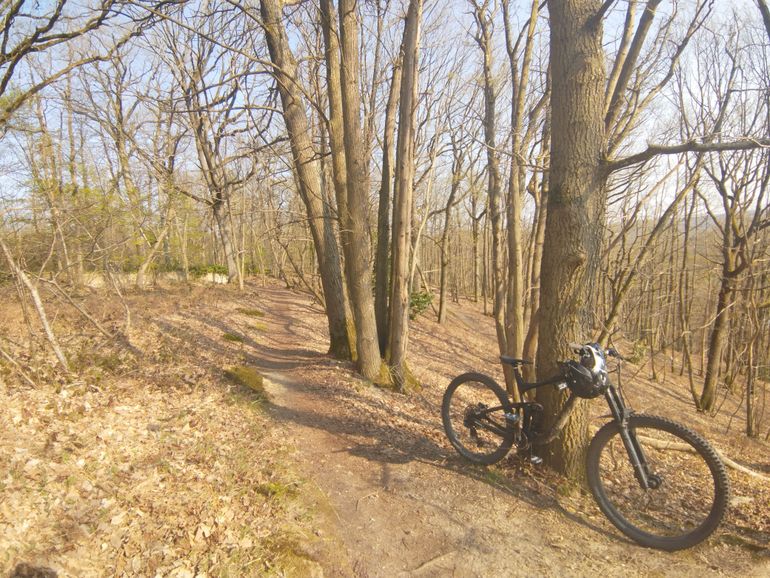 Used Giant Reign Advanced, Pro 29 1 2020 2020 Mountainbike, Black, 29 — image 4 of 5