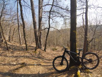 Used Giant Reign Advanced, Pro 29 1 2020 2020 Mountainbike, Black, 29 — image 5 of 5