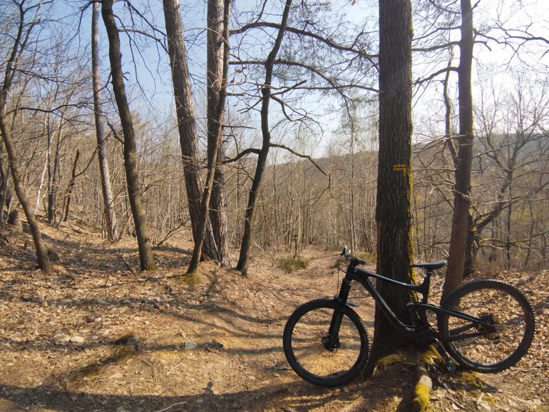 Used Giant Reign Advanced, Pro 29 1 2020 2020 Mountainbike, Black, 29 — image 5 of 5