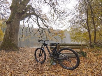 Used Giant Reign Advanced, Pro 29 1 2020 2020 Mountainbike, Black, 29 — image 2 of 5