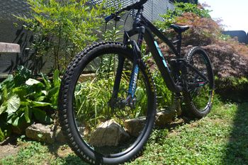 Used GT Sensor Carbon Elite 2019 2019 Mountainbike, Black, 29 — image 2 of 16