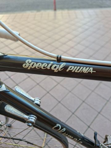 Used Olympia Custom Campagnolo Record 1975 Road & Gravel, Light Gray — image 30 of 32