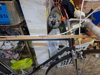 Used Olympia Olympia Custom Campagnolo Record 1975 Road & Gravel, Light Gray — image 32 of 32