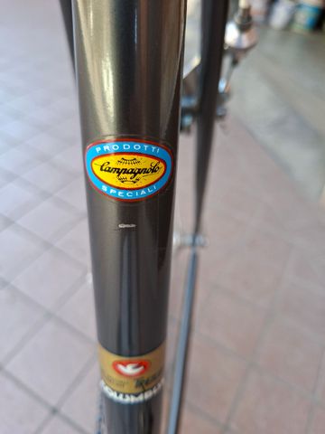 Used Olympia Custom Campagnolo Record 1975 Road & Gravel, Light Gray — image 26 of 32