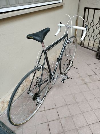 Used Olympia Olympia Custom Campagnolo Record 1975 Road & Gravel, Light Gray — image 3 of 32