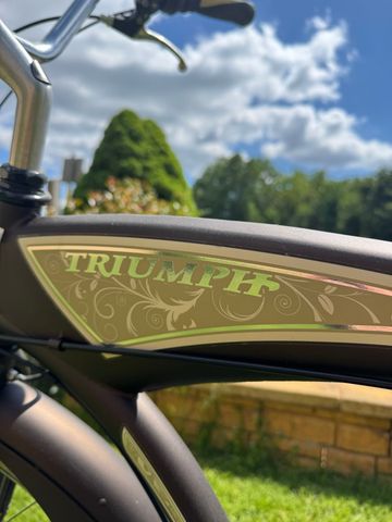Used Triumph Custom Shimano Tourney 2018 Urban, Orange — image 2 of 7