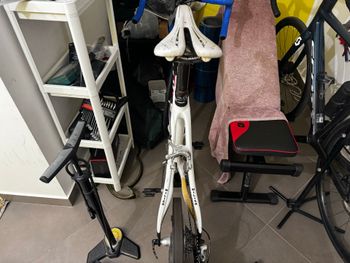 Used Wilier Wilier Custom Shimano Dura Ace 2011 Road & Gravel — image 2 of 5