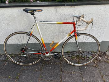 Used VICINI Vintage Rennrad Vicini Shimano 105 1980 Road & Gravel