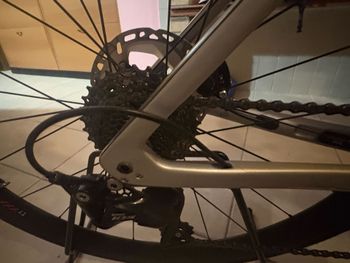 Used Trek Émonda SL 5 Disc 2022 2022 Road & Gravel, Light Gray — image 1 of 2