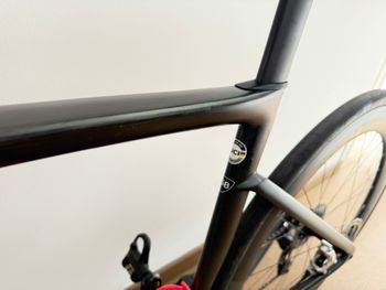 Used Specialized S-Works Tarmac SL7 - SRAM Red eTap AXS 2021 2021 Road & Gravel, Green — image 6 of 16