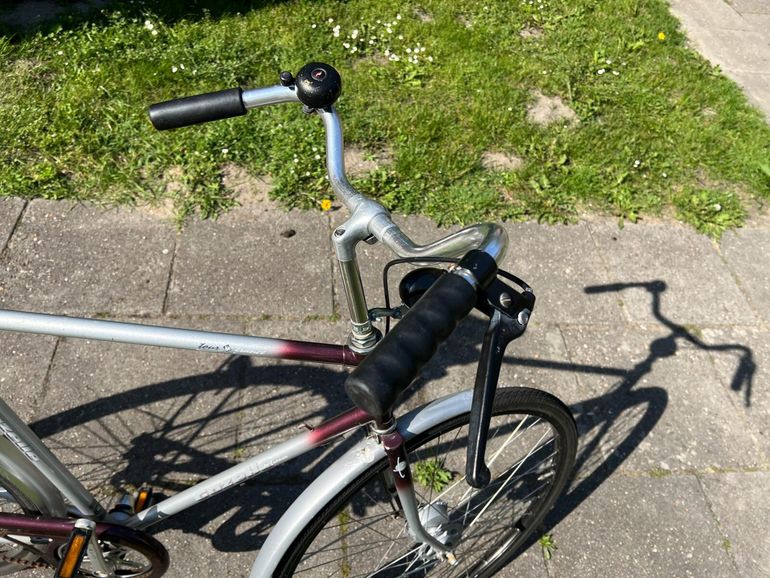 Used Gazelle Tour De France Urban, Light Gray — image 9 of 11