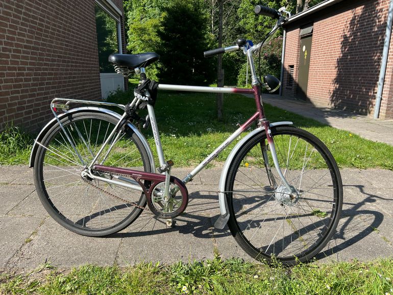 Used Gazelle Tour De France Urban, Light Gray — image 1 of 11