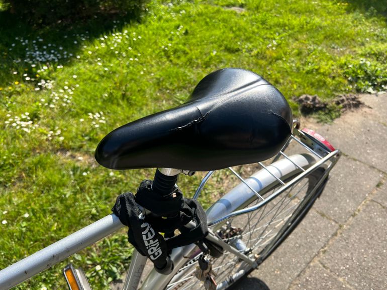 Used Gazelle Tour De France Urban, Light Gray — image 4 of 11