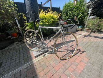 Used PINO CERAMI PINO CERAMI Custom Campagnolo Super Record 1980 Road & Gravel, Light Gray — image 2 of 13