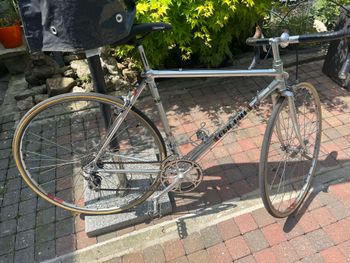 Used PINO CERAMI PINO CERAMI Custom Campagnolo Super Record 1980 Road & Gravel