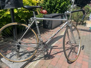Used PINO CERAMI PINO CERAMI Custom Campagnolo Super Record 1980 Road & Gravel, Light Gray — image 4 of 13