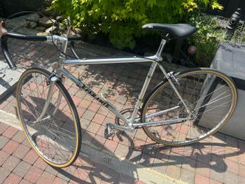 Used PINO CERAMI PINO CERAMI Custom Campagnolo Super Record 1980 Road & Gravel, Light Gray — image 6 of 13