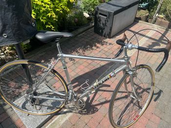 Used PINO CERAMI PINO CERAMI Custom Campagnolo Super Record 1980 Road & Gravel, Light Gray — image 5 of 13