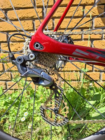 Used Sensa Giulia G3 Disc Ultegra 2021 2021 Road & Gravel, Red — image 2 of 5