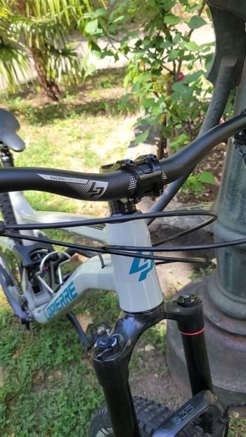Used Lapierre Zesty AM 4.9 2021 2021 Mountainbike, Light Gray, 29 — image 13 of 21