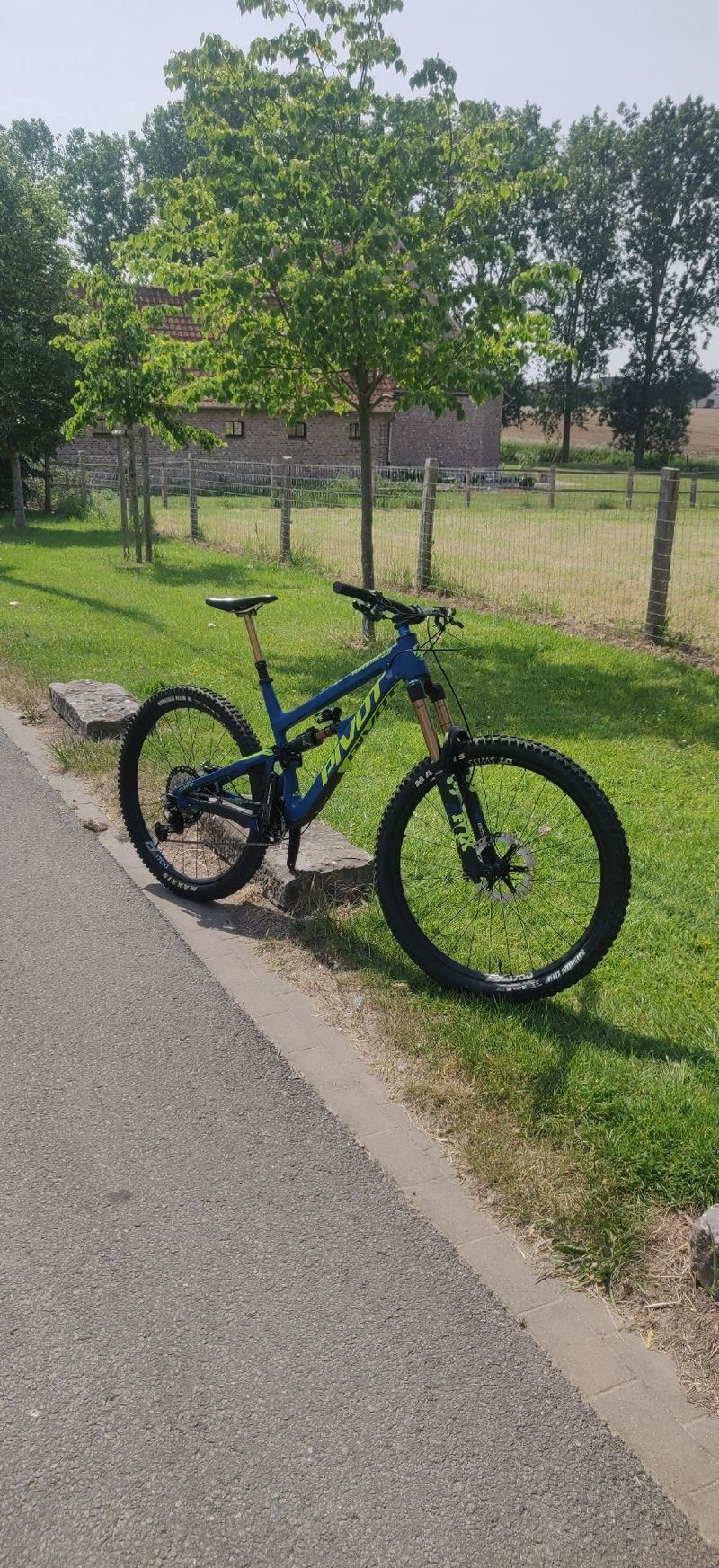 Used Pivot Firebird 29 Pro XT/XTR 2021 2021 Mountainbike, Blue, 29 — image 10 of 10