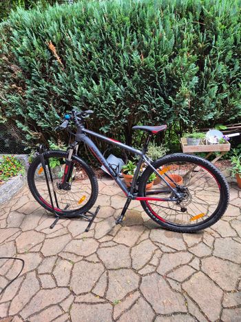 Used Centurion Backfire Pro 200 2023 2023 Mountainbike, Light Gray, 29 — image 4 of 12