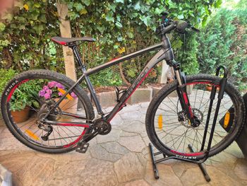 Used Centurion Backfire Pro 200 2023 2023 Mountainbike, Light Gray, 29 — image 2 of 12