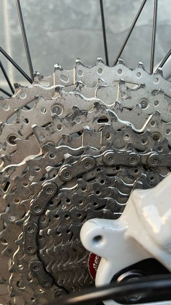Used Canyon Grand Canyon 8 2022 2022 Mountainbike, Light Gray, 27.5, 29 — image 5 of 16